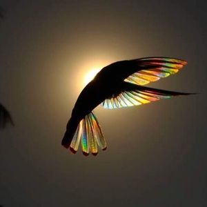 Meet your Posher, Ash